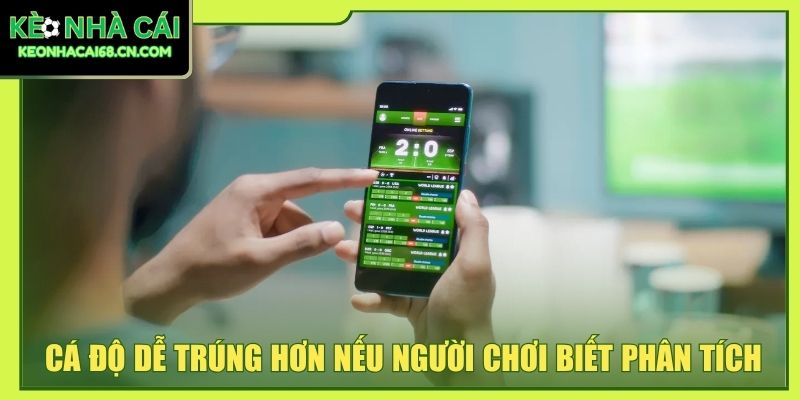 Cá độ dễ trúng hơn nếu người chơi biết phân tích