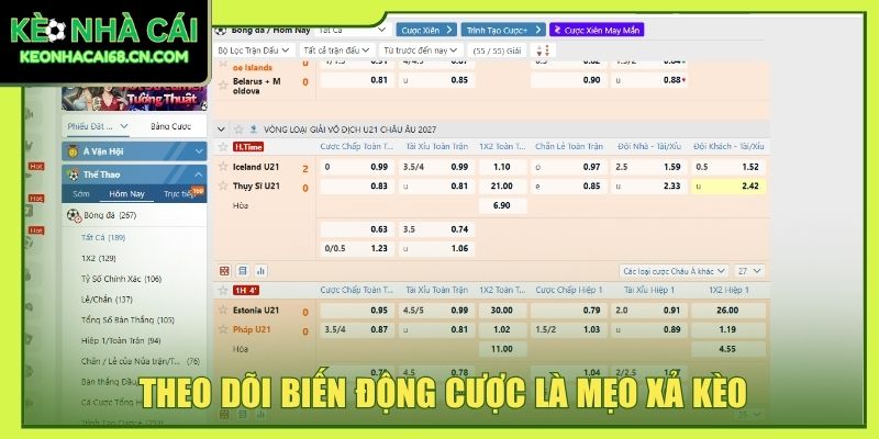Theo dõi biến động cược là mẹo xả kèo