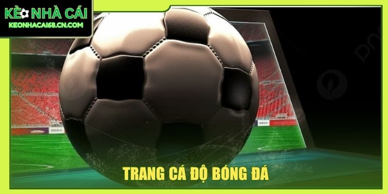 trang cá độ bóng đá